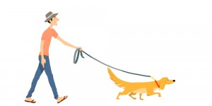 dog walker